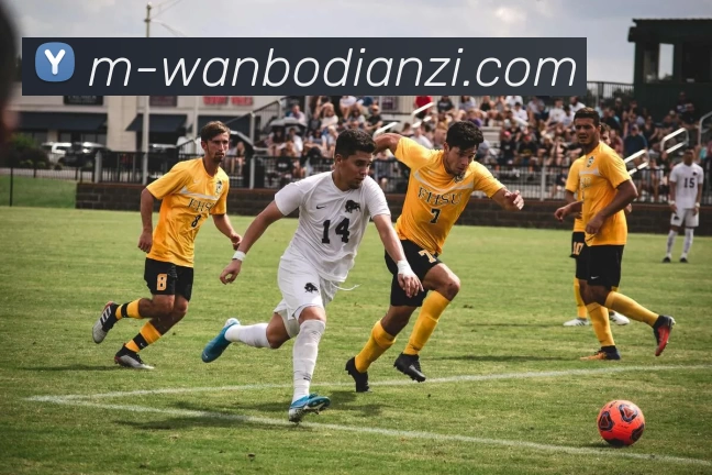 多媒体互动体验